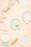Blue Stripe Small Plates