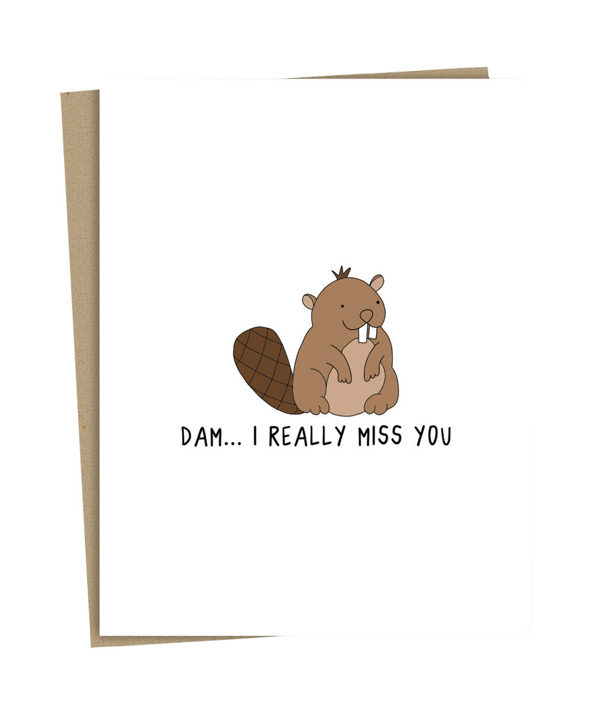 Dam... I Really Miss You