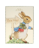 Peter Rabbit and Friends Egg Hunt Kit