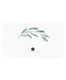 Olive Branches Little Notes® by E. Frances Paper