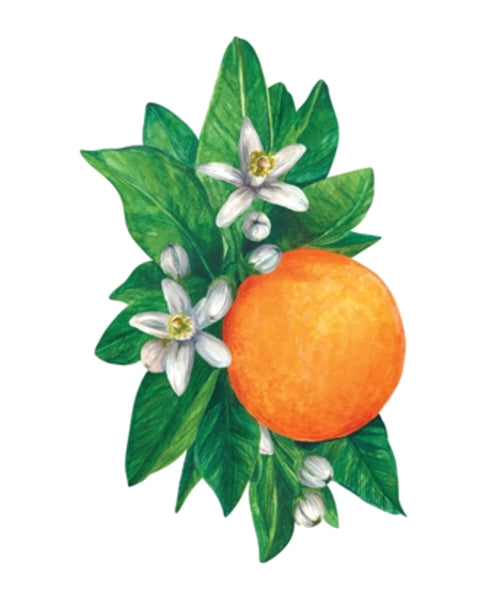 Orange Orchard Place Cards