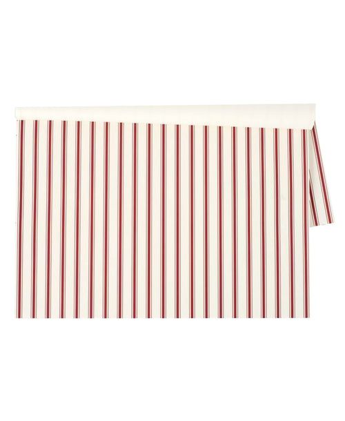 Red Ribbon Stripe Placemat