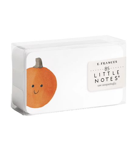 Rainbow Little Notes® by E. Frances Paper
