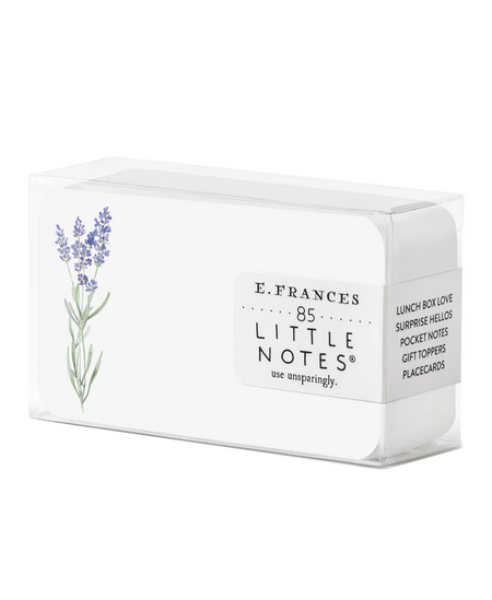 Rainbow Little Notes® by E. Frances Paper