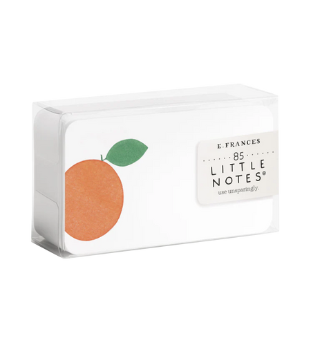 Rainbow Little Notes® by E. Frances Paper