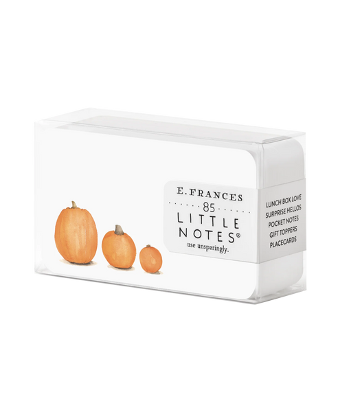 Pumpkin Patch Little Notes® by E. Frances Paper