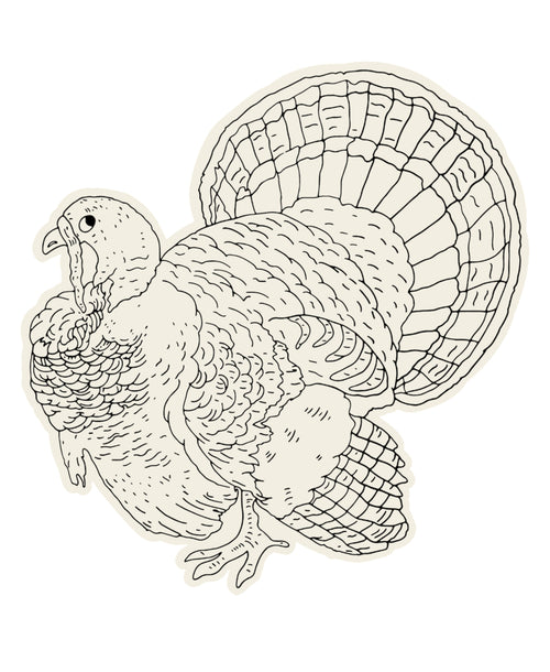 Coloring Turkey Die-Cut Placemat
