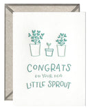 Little Sprout