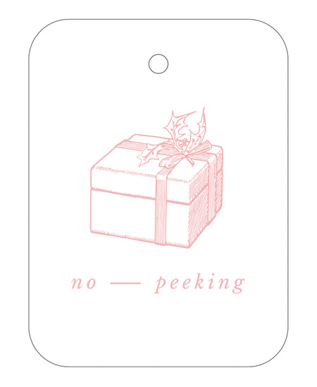 *Skaters Gift Tags