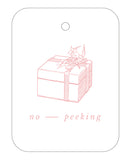 *No Peeking Gift Tags